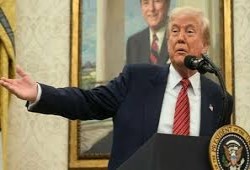 مقررة أممية: خطة ترامب للسلام في غزة أسوأ إهانة رأيتها في حياتي