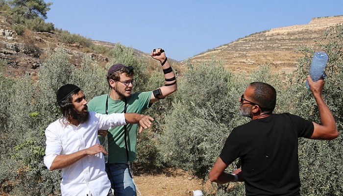 صهاينة يهاجمون مزارع وممتلكات فلسطينية في الضفة