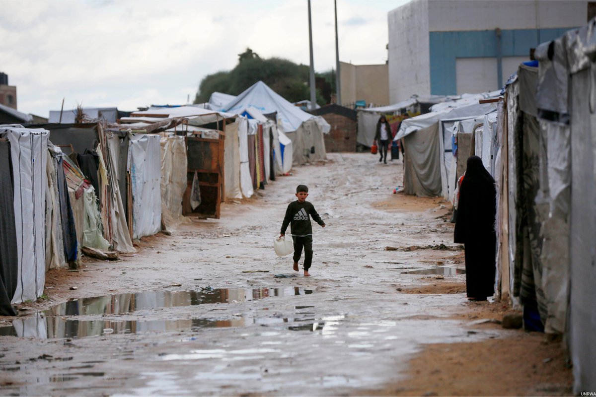 قطاع غزة يحتاج 300 ألف خيمة