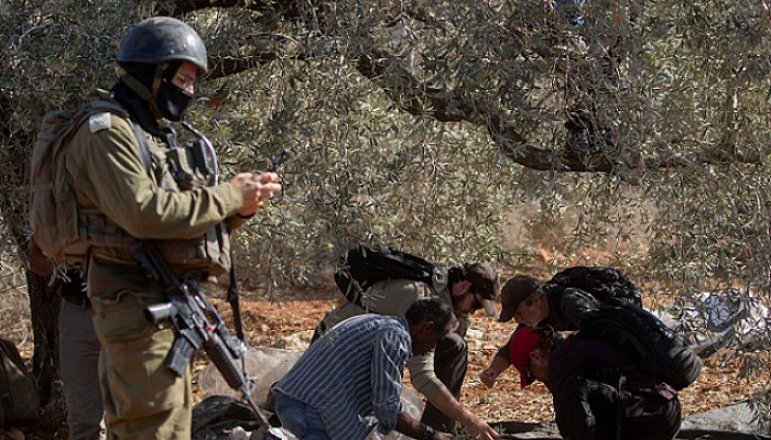 تصاعد هجمات المستوطنين بالضفة بتواطؤ الاحتلال