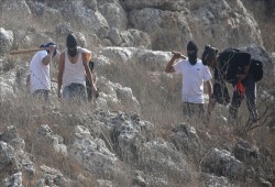 صهاينة يهاجمون رعاة أغنام في الأغوار ويحرقون مركبة بالقدس