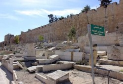 المطالبة بحماية المقدسات والمقابر الإسلامية من انتهاكات الاحتلال