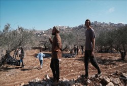 تصعيد كبير للاحتلال بالضفة.. هدم منازل ومنشآت واعتداءات على الممتلكات