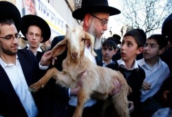 محاولة غير مسبوقة لإدخال قرابين إلى الأقصى وحراس المسجد يتصدّون