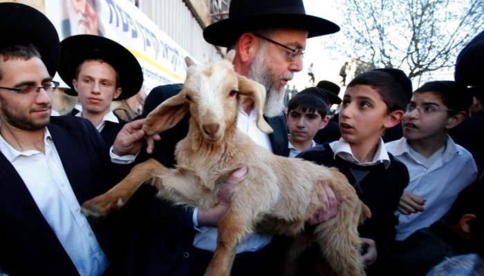 محاولة غير مسبوقة لإدخال قرابين إلى الأقصى وحراس المسجد يتصدّون