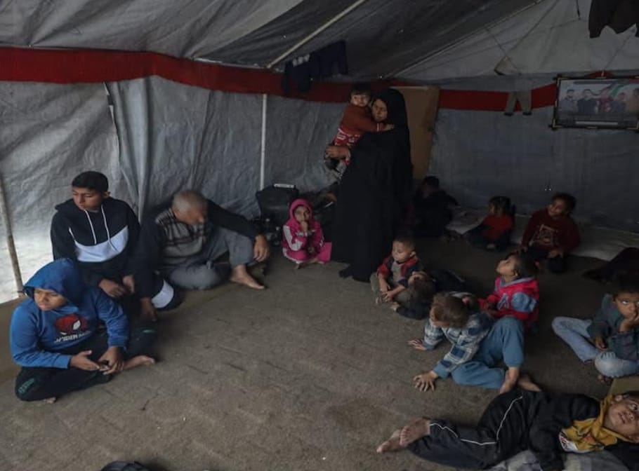 الحاجة رضا أم الشهداء الخمسة تعول 36 حفيدا