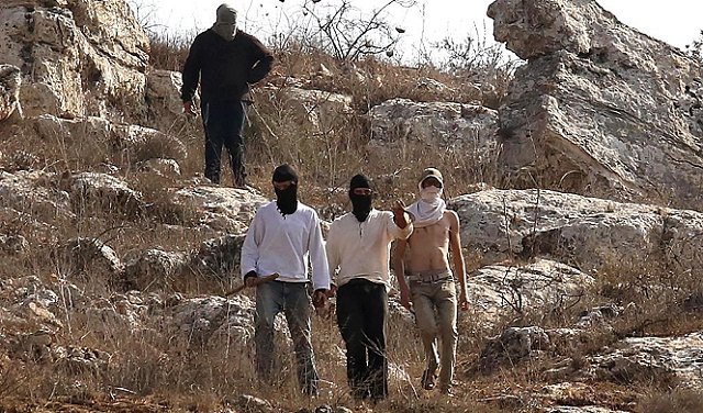 مستوطنون يهاجمون ممتلكات فلسطينية بالقدس المحتلة