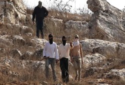 مستوطنون يهاجمون ممتلكات فلسطينية بالقدس المحتلة