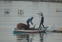 الاحتلال يعتقل 4 صيادين ويفجر مركبهم.. 230 شهيداً منذ بدء الحرب