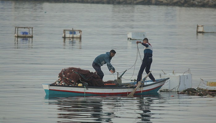 الاحتلال يعتقل 4 صيادين ويفجر مركبهم.. 230 شهيداً منذ بدء الحرب