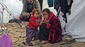 برد غزة.. وبرودة الاستجابة