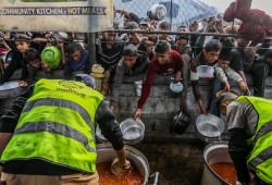 1.6 مليون شخص بغزة يواجهون انعداما في الأمن الغذائي