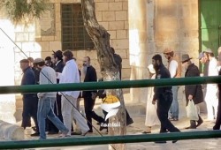 اقتحام صهيوني واسع للأقصى وسط تصاعد الانتهاكات في القدس