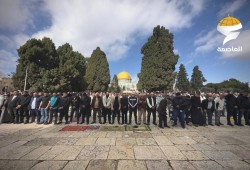 دعوات لتكثيف الرباط في الأقصى والتصدي لانتهاكات المستوطنين