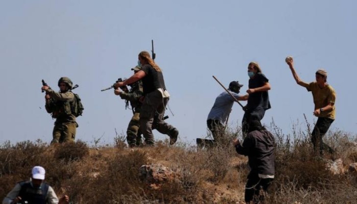 إرهابيون صهاينة يهاجمون الفلسطينيين في الأغوار الشمالية