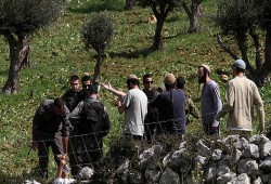 إصابات ومواجهات خلال حملة اعتقالات صهيونية بالضفة