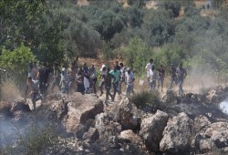 صهاينة يعتدون بالضرب على طفل فلسطيني جنوب الخليل