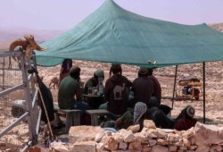 الأونروا تحذر من تسارع الاستيطان في الضفة المحتلة