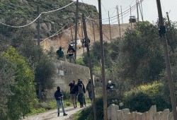 حماس تندد بهجمات المستوطنين وتطالب بتحرك دولي رادع