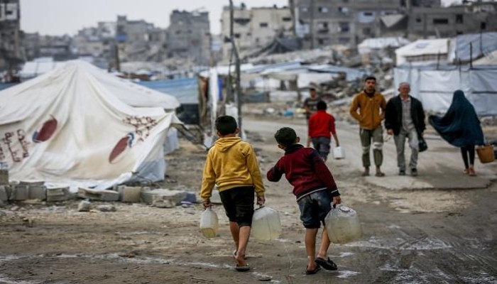 البراغيث تفاقم معاناة نازحي المواصي بغزة ٍ