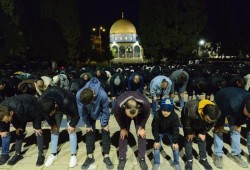 40 ألفًا يصلون العشاء والتراويح في الأقصى