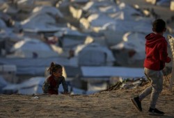 633 شهيداً منذ وقف النار بغزة و3044 مولودا جديدا في فبراير