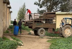 تهجير عائلات فلسطينية شرق طوباس بعد اعتداءات المستوطنين