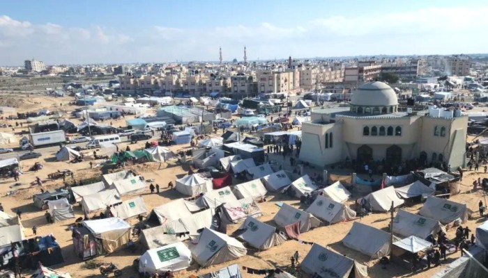 البراغيث تفاقم المأساة الصحية في خيام النازحين