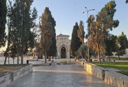 حملة رقمية عالمية لكسر الحصار الإعلامي عن المسجد الأقصى