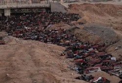 مرتزق بريطاني يوثق وحشية الاحتلال ضد المجوّعين في غزة