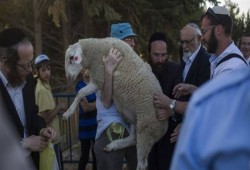 محاولات إدخال قربان الفصح تكشف مخططات تهويد الأقصى