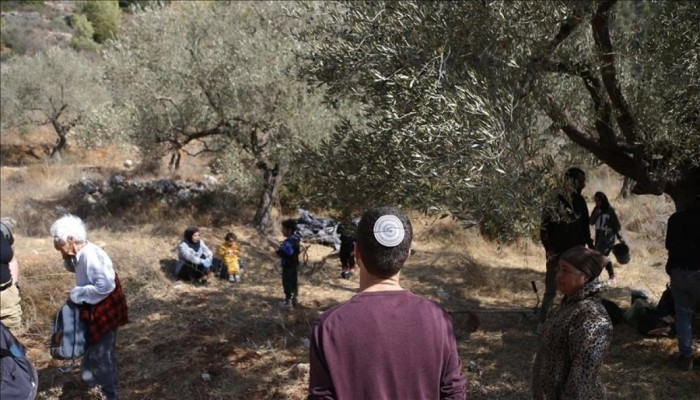 إصابة فلسطينيين وأجنبية باعتداءات مستوطنين جنوبي الخليل