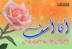 الاعتذار شيمة الكبار