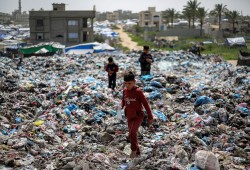 تفاقم الأزمة البيئية في غزة.. القوارض تلاحق النازحين