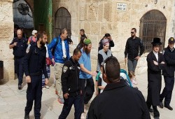 مئات الصهاينة يدنسون المسجد الأقصى