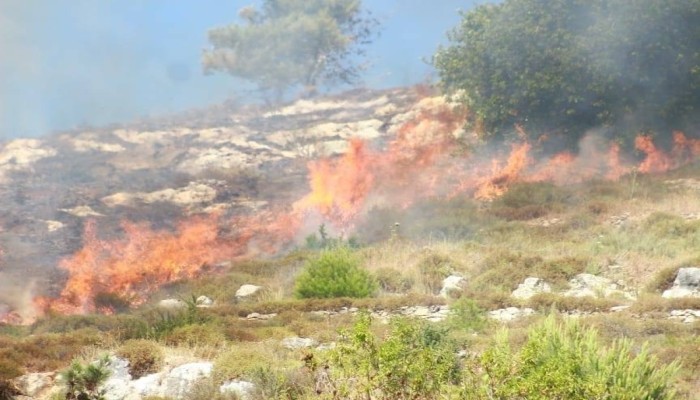 مليشيات المستوطنين تحرق مزارع فلسطينيين في الضفة