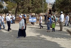 232 صهيونيا يدنسون الأقصى بحماية قوات الاحتلال