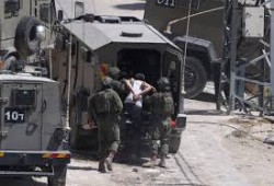 الاحتلال يعتقل 11 فلسطينيا في الضفة والقدس