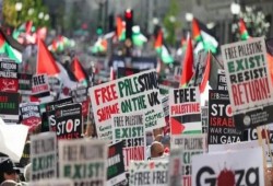 اتجاهات التضامن العالمي مع فلسطين اليوم