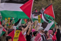 استطلاع أمريكي: تراجع غير مسبوق في دعم الاحتلال