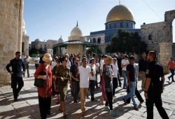 135 صهيونيا يقتحمون الأقصى.. ودعوات للنفير وشدّ الرحال
