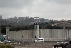 المطالبة بإنقاذ حياة الأسيرات المريضات في سجن الدامون