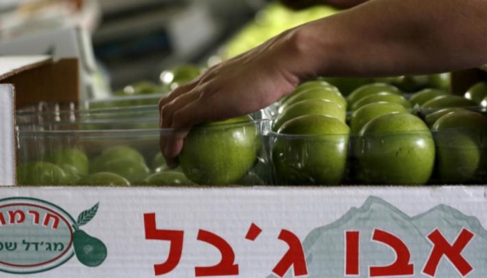 هولندا تحظر استيراد منتجات المستوطنات الصهيونية