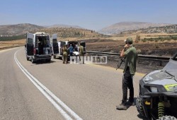 حماس تشيد بعملية الطعن البطولية وتؤكد: المقاومة حيّة