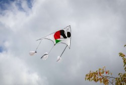 طائرات ورقية في سماء أوروبا تضامنًا مع أطفال غزة