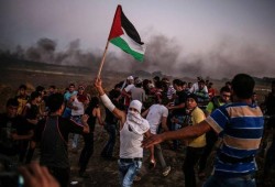 حماس تدعو لمحاسبة الاحتلال على جرائمه