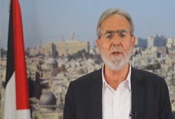 النخالة: حرب الإبادة على غزة مستمرة
